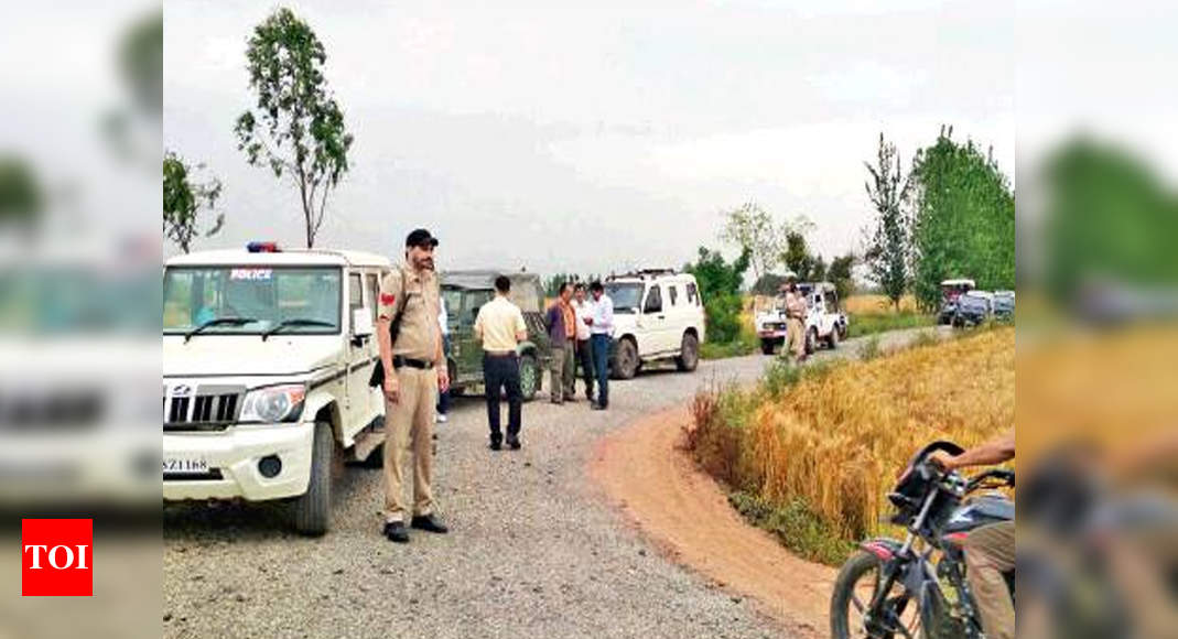 Border Security Force: Manhunt in border districts after men in ...