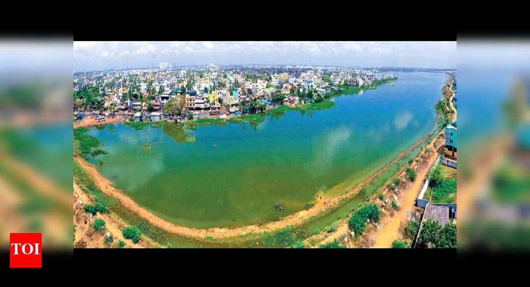 A harvest lesson we can’t forget | Chennai News - Times of India