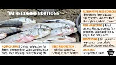 State govt to boost fish output to double farmers’ income in region
