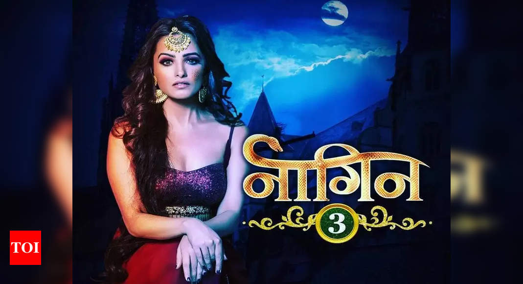 Naagin 3 After Karishma Anita Hassanandani begins shooting for