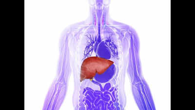 ‘Liver diseases 10th common cause of death among Indians’