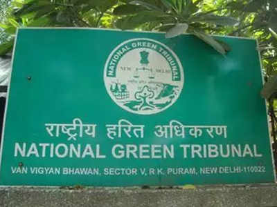 Blue sheep: States responsible for protection of wildlife, MoEF tells NGT