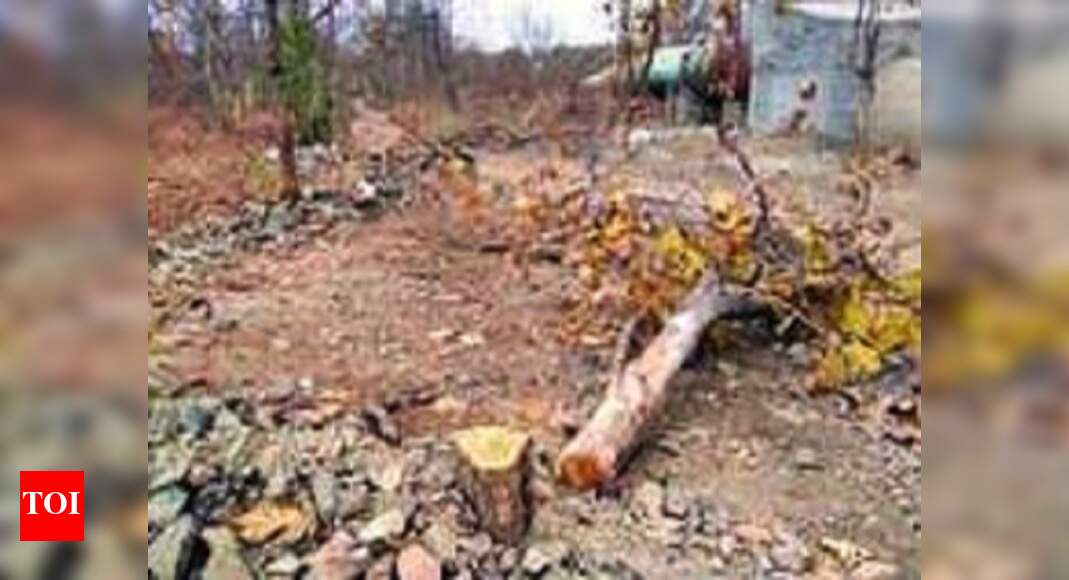 Tree felling: Notice to range officers, guards | Indore News - Times of ...