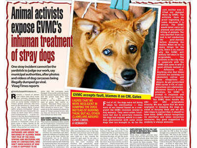 SHRC intervenes in dog carcass case, issues notice to Police Commissioner |  Visakhapatnam News - Times of India