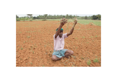 Karnataka Elections: Will rain wipe out agrarian pain