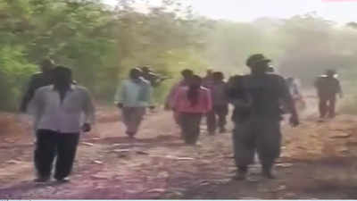 14 Maoists gunned down in Maharashtra's Gadchiroli