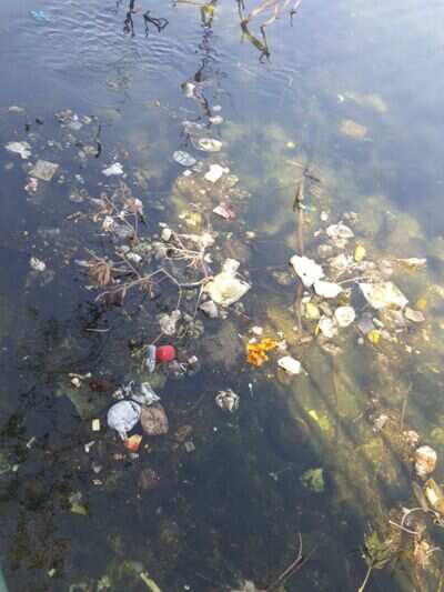 Vashi Mini Chowpatty lake is filled with garbage - Times of India