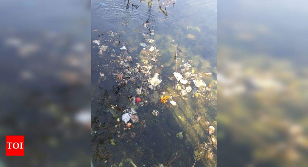 Vashi Mini Chowpatty Lake Is Filled With Garbage - Times Of India