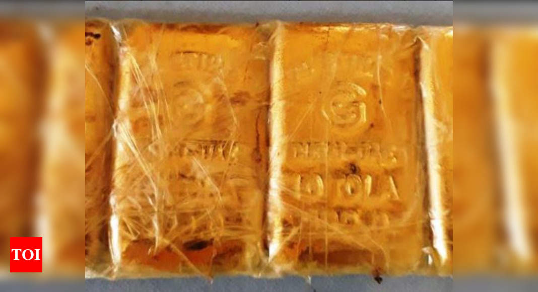 Bsf Seizes Gold Valued At Nearly Rs 15 Lakh From Indo Bangla Border Kolkata News Times Of India