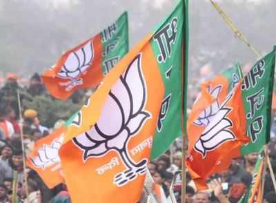 BJP goes to Election Commission, cites foul play