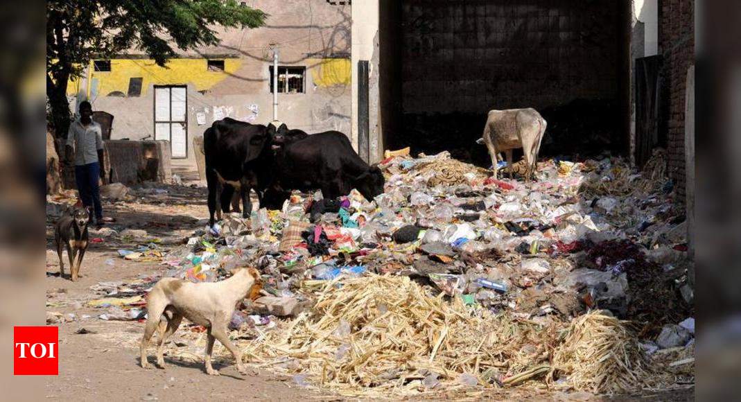 Waste From Delhi Dumped In City Colony, Rwa Goes To Ngt 