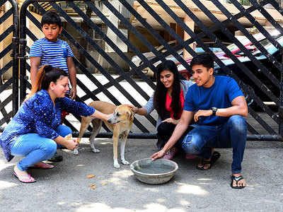 Mumbaikars make summer cooler for strays | Mumbai News - Times of India