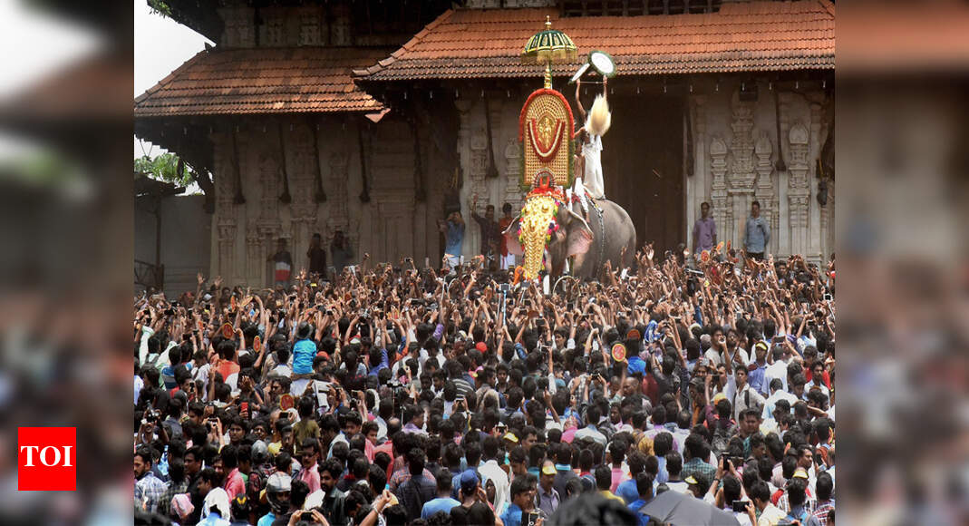 220-year-old Pooram festival retains its splendour and excitement ...