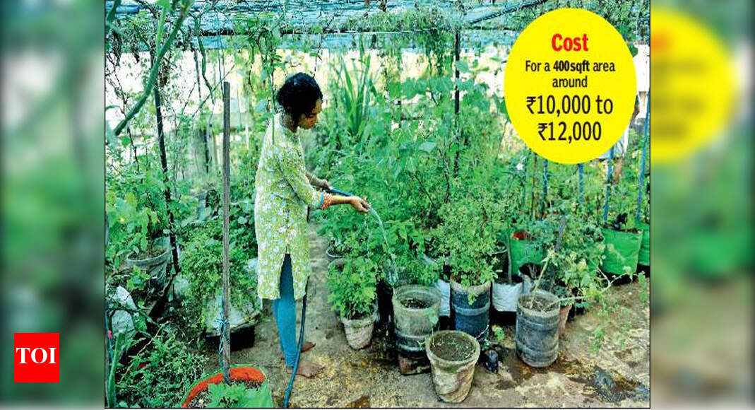 Greens On A New High With Shrinking Open - Rooftop Vegetable Garden In Chennai Greens On A New High With Shrinking Open - Rooftop Vegetable Garden In Chennai