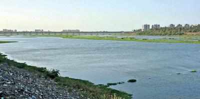 People in Rander, Athwa forced to consume polluted water