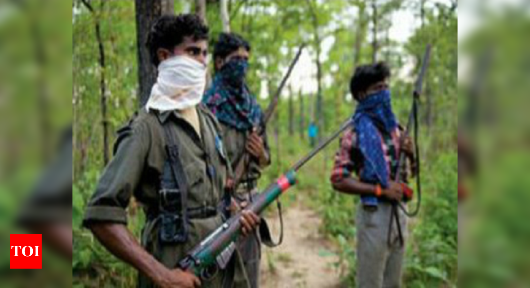 Chhattisgarh 7 Naxalites Killed In An Encounter In Chhattisgarhs Bijapur India News Times