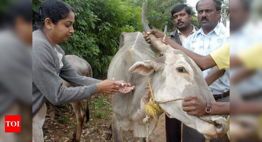 Animal vaccination key to prevent zoonotic diseases: Experts | Nagpur