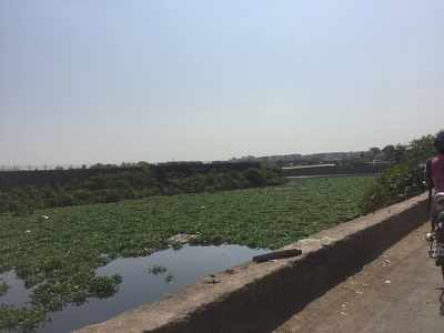 Plight of Mithi River at Kurla Kamani Road
