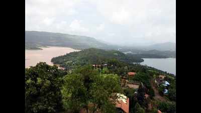 Water stock in Pune dams shrinks to 31.9%