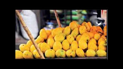 Mango traders go digital for transparent sales