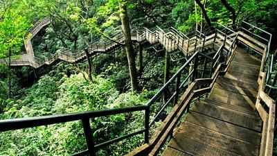 IRCTC to capitalize on eco-tourism prospects of Thenmala