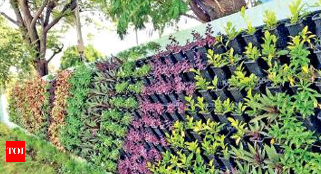 chennai shoot No room? Vertical gardens in Chennai shoot for sky