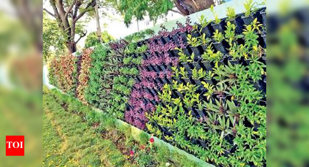 Chennai Shoot No room? Vertical gardens in Chennai shoot for sky
