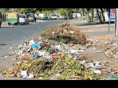 Garbage menace essay picture