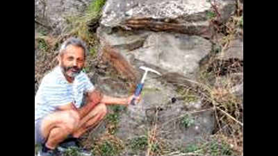 Longest Himalayan fossil tree found in Himachal Pradesh