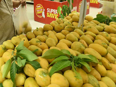 Irradiation of mangoes begins at Lasalgaon