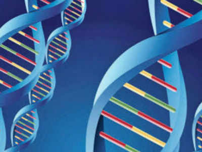 Govt: Law on DNA profiling of unidentified bodies soon