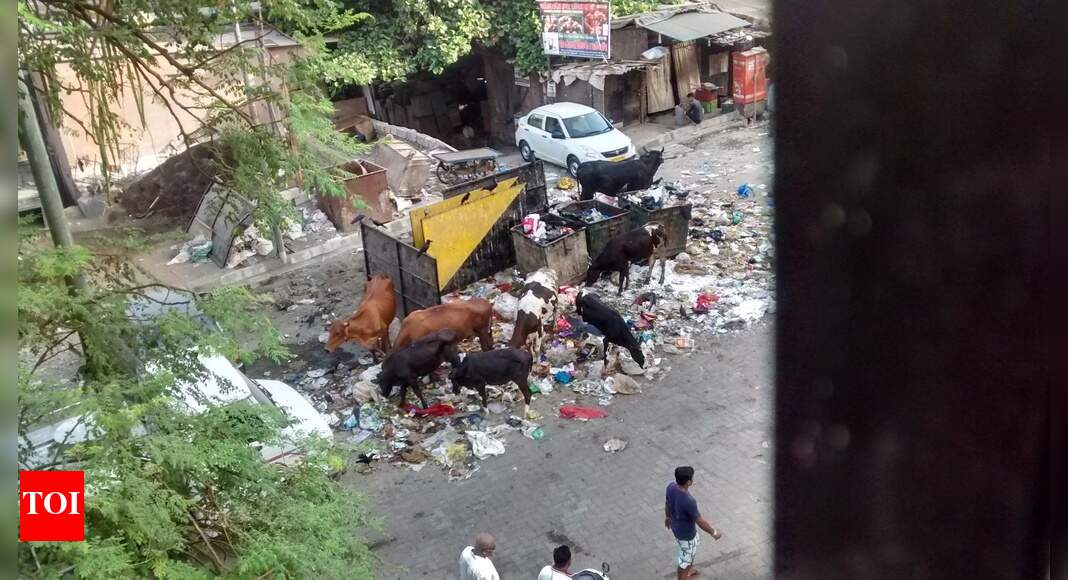 Garbage spilled all over the place - Times of India