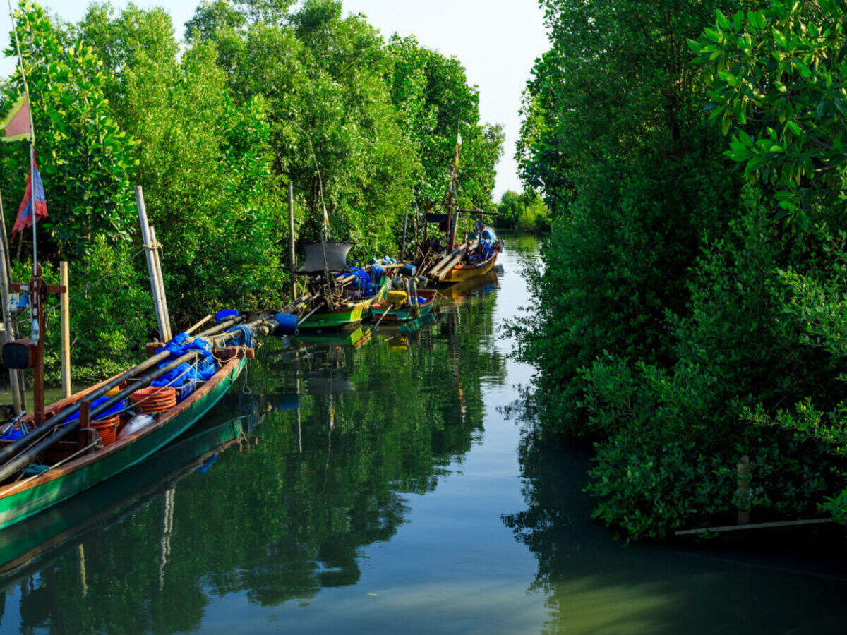 Heading to Goa? Do explore these hidden treasures during your trip ...