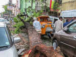 See pics how dust storm and rain wreak havoc in northwest India