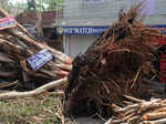 See pics how dust storm and rain wreak havoc in northwest India