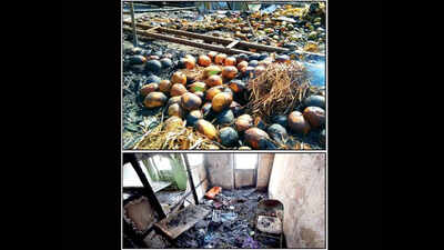 Blaze damages 63 mango festival stalls, destroys fruits worth Rs 1cr