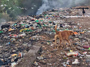 Citizens’ movement transforms Kharadi from dump to dream