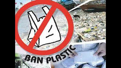 Excessive use of paper could adversely impact environment, say green ...