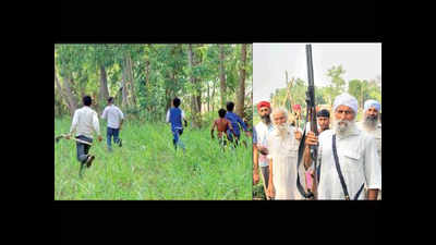 As dogs maul 12 to death in 6 months, villagers form ‘army’