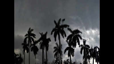 Light rains in Haryana; dip in temperature