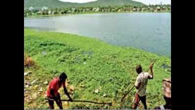 Chennai Corporation struggling to rope in corporate firms for restoration of lakes