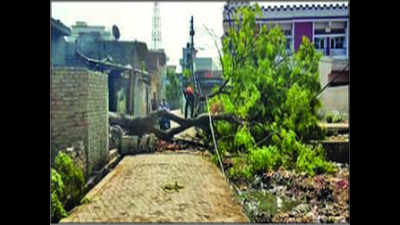Power supply in storm-hit Sambhal district restored after 18 hrours