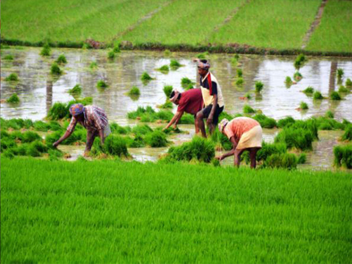 Agriculture In Himachal Pradesh In Malayalam Himachal Pradesh An Indian State / Chaudhary