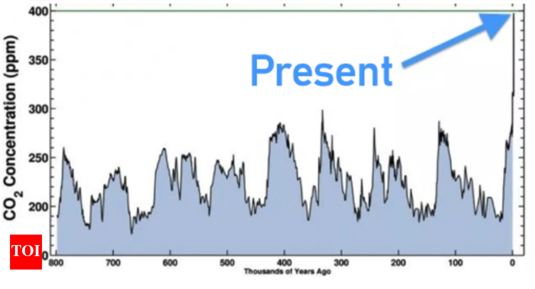 4. Breathe in CO2, breathe out CO2 Times of India