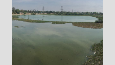 Cognizant, L&T and others pledge support for eco-restoration of Chennai water bodies
