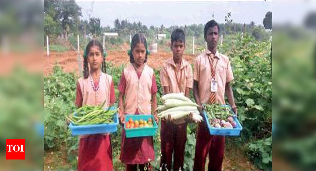 Photos Tamil Nadu panchayat school attracts kids by teaching organic