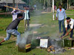 Several killed as violence mars West Bengal panchayat elections