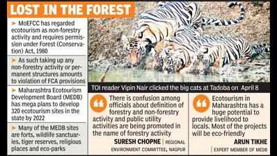 Ecotourism plans: Forest ministry, NTCA sound note of caution