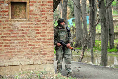 Government declares conditional ceasefire in J&K during Ramzan