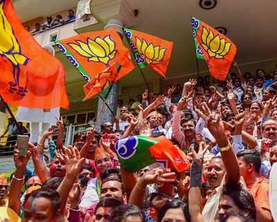 Young Turks raring to go; House to have 52 first-timers, most from BJP